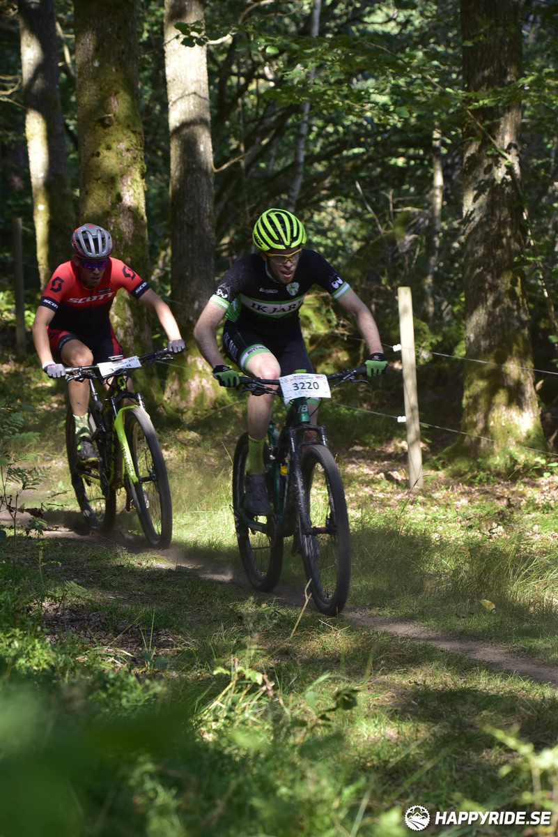 Bild från Bockstensturen 2019